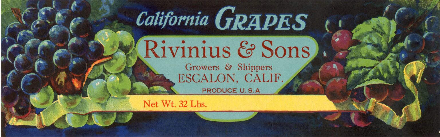 Rivinius Sons Rivinius Sons
